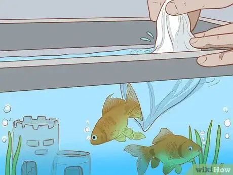 Immagine titolata Add Fish to a New Tank Step 9