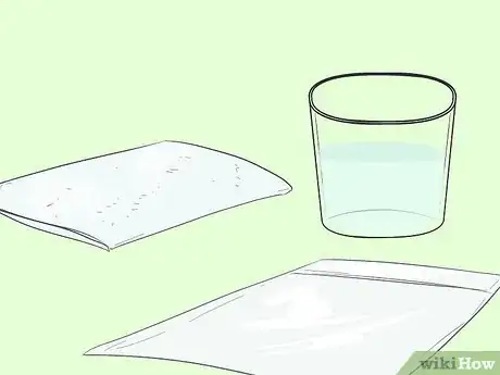 Immagine titolata Germinate Tree Seeds Step 9