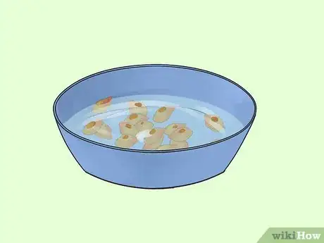Immagine titolata Germinate Tree Seeds Step 6