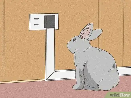 Immagine titolata Care for Rex Rabbits Step 5