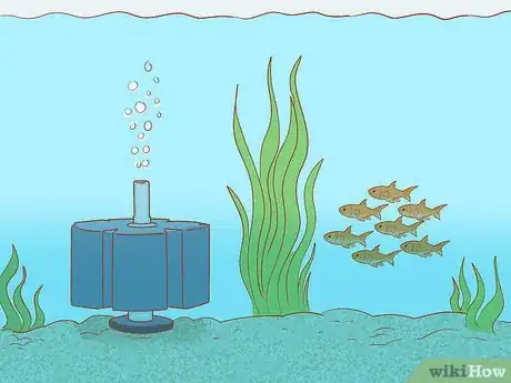 Immagine titolata Add Fish to a New Tank Step 5
