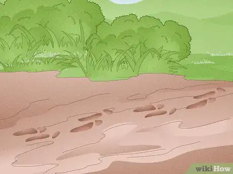 Immagine titolata Hunt Rabbit Step 11