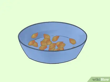 Immagine titolata Germinate Tree Seeds Step 4