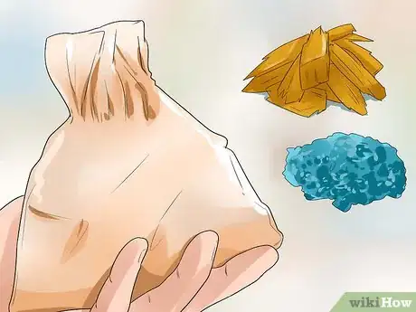 Immagine titolata Keep Fleas Off Dogs Step 9