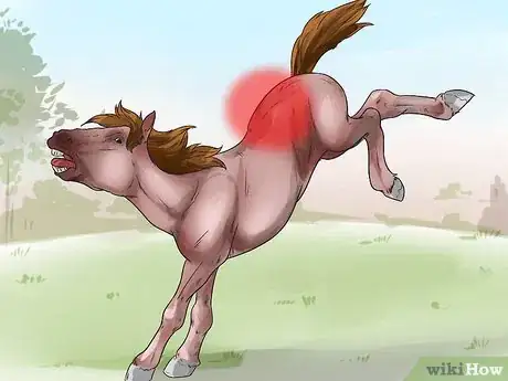 Immagine titolata Tell if Your Horse Needs Hock Injections Step 2