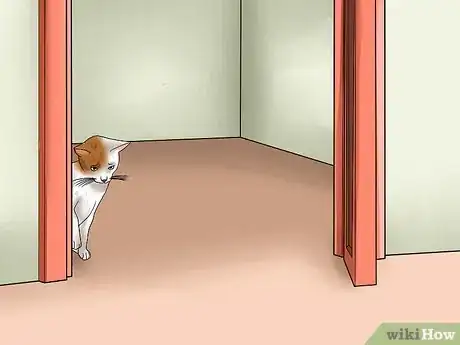 Immagine titolata Know if a Cat Is Stressed Step 7