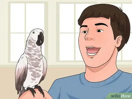 Immagine titolata Teach Your Bird to Talk Step 6