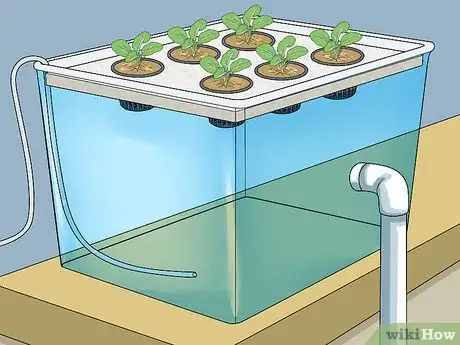 Immagine titolata Build a Homemade Hydroponics System Step 13