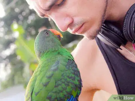 Immagine titolata Communicate with Animals Step 2