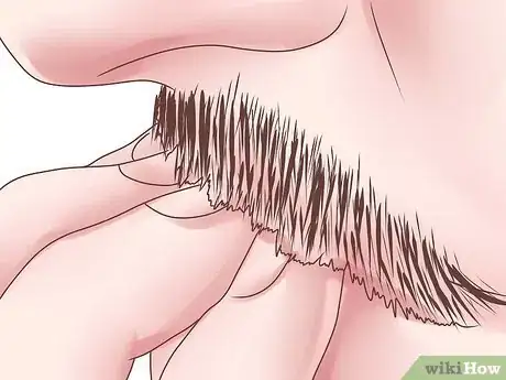 Immagine titolata Use and Choose a Moustache Wax Step 6