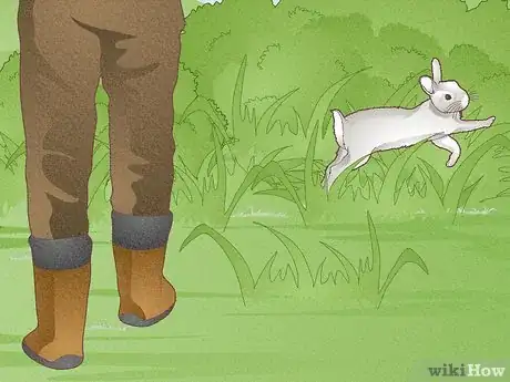 Immagine titolata Hunt Rabbit Step 10