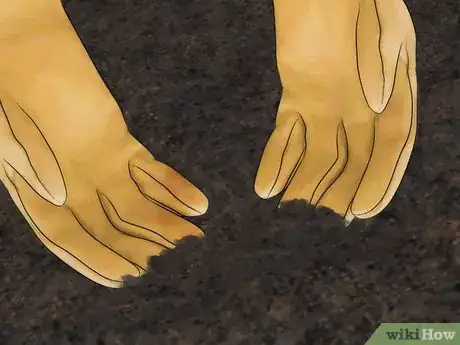 Immagine titolata Grow a Magnolia Tree Step 3