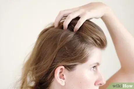 Immagine titolata Tease Your Hair Step 5