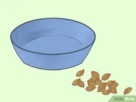 Immagine titolata Germinate Tree Seeds Step 8