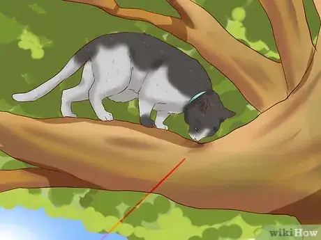Immagine titolata Get a Cat out of a Tree Step 5