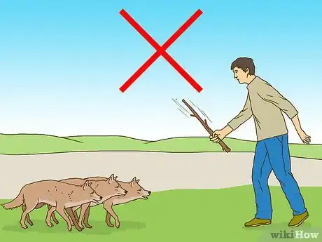 Immagine titolata Act when Near a Coyote Step 6