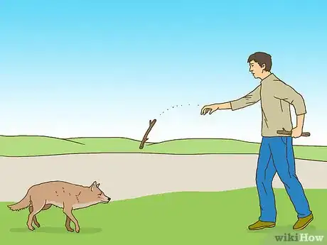 Immagine titolata Act when Near a Coyote Step 4