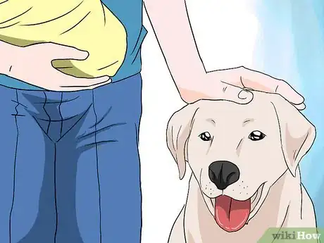 Immagine titolata Introduce Your Baby to Your Dog Step 16Bullet1