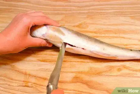 Immagine titolata Fillet a Rainbow Trout Fish Step 3