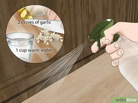 Immagine titolata Get Rid of Mice Fast Step 11