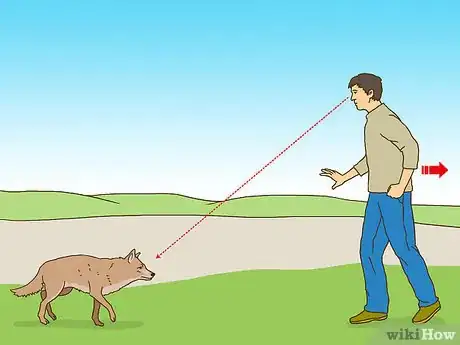 Immagine titolata Act when Near a Coyote Step 1