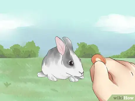 Immagine titolata Catch a Pet Rabbit Step 3
