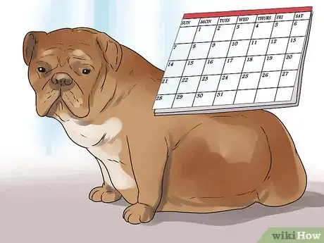 Immagine titolata Help Your Dog Whelp or Deliver Puppies Step 3