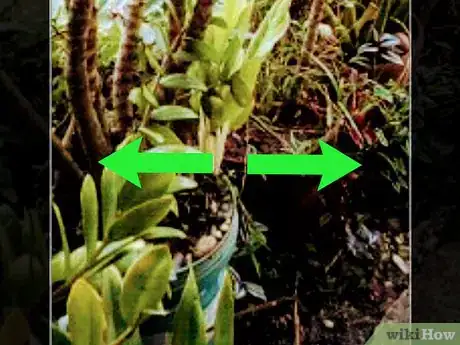 Immagine titolata Edit Google Photos on Android Step 11
