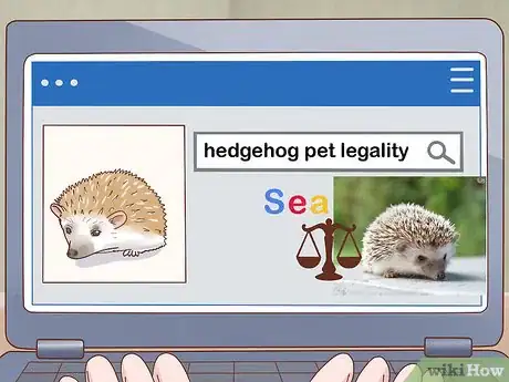 Immagine titolata Take Care of a Hedgehog Step 1