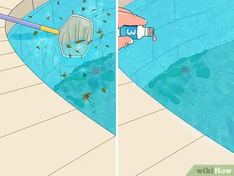 Immagine titolata Get Rid of Green Water in a Swimming Pool Step 3