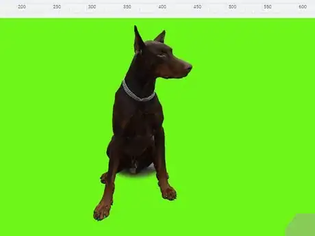 Immagine titolata Use Greenscreen on Windows Movie Maker Step 1