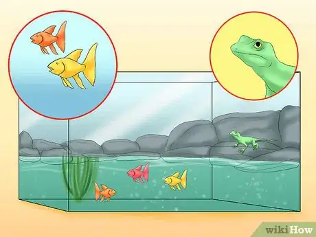 Immagine titolata Create Aquariums So Lizards and Fish Can Coexist Step 8