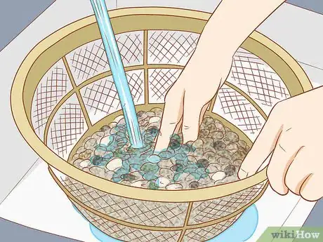 Immagine titolata Add Fish to a New Tank Step 1