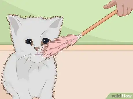 Immagine titolata Make Cat Toys out of Common Household Items Step 26