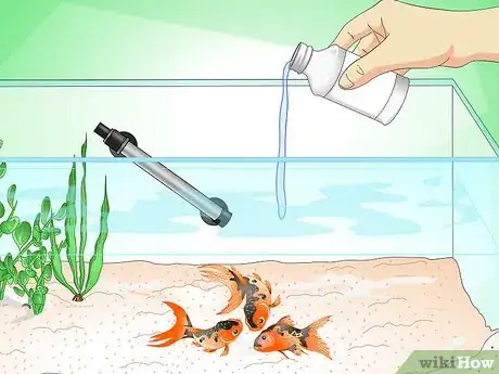 Immagine titolata Save a Dying Goldfish Step 11