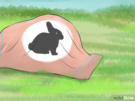 Immagine titolata Catch a Pet Rabbit Step 8