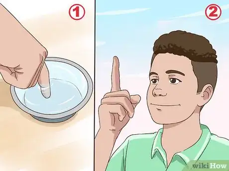 Immagine titolata Determine Wind Direction Step 2