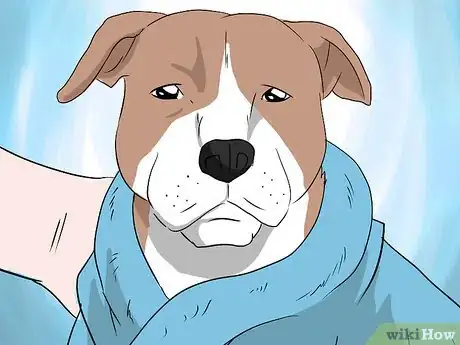 Immagine titolata Introduce Your Baby to Your Dog Step 18