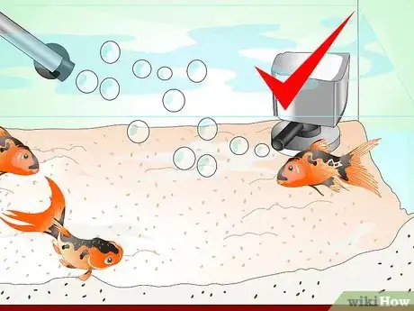 Immagine titolata Save a Dying Goldfish Step 14
