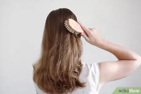 Immagine titolata Tease Your Hair Step 1