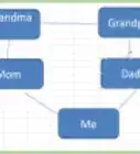 Creare un Albero Genealogico in Excel