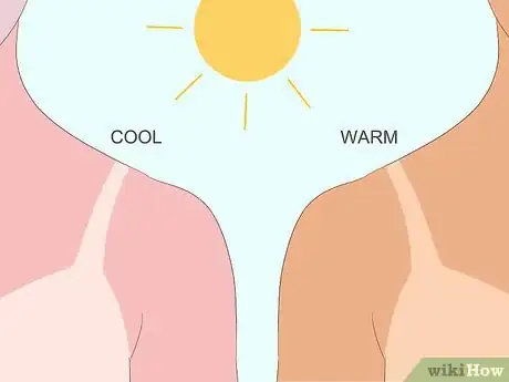 Immagine titolata Choose Colors That Flatter Skin Tone Step 5