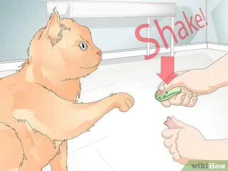 Immagine titolata Teach Your Cat to Give a Handshake Step 13