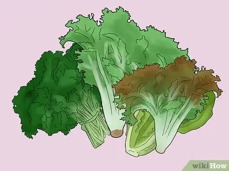 Immagine titolata Care for Baby Guinea Pigs Step 5