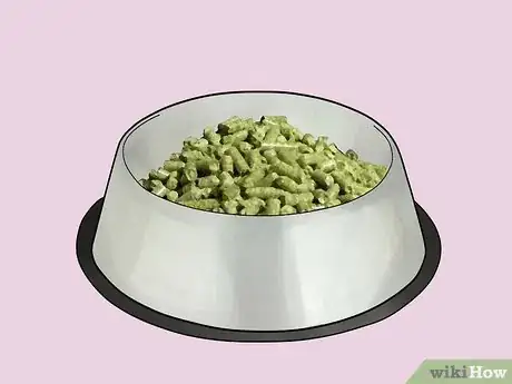 Immagine titolata Care for Baby Guinea Pigs Step 4