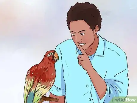 Immagine titolata Train Parrots to Make Less Noise Step 5