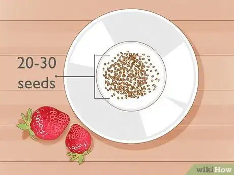 Immagine titolata Plant Strawberries Indoors Step 3