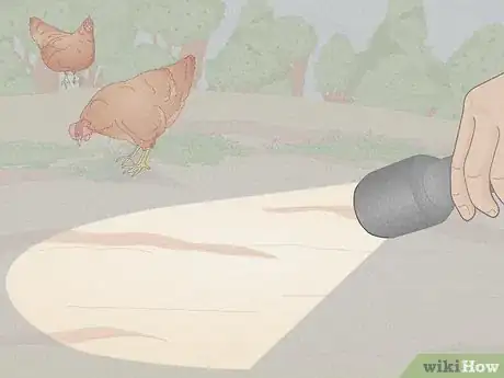 Immagine titolata Catch a Chicken Step 2