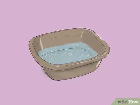 Immagine titolata Get Rid of Chicken Mites Step 18