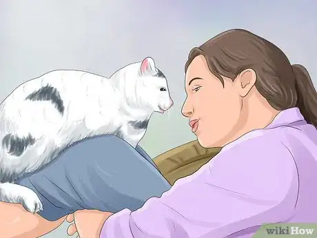 Immagine titolata Keep a Cat Happy Step 1